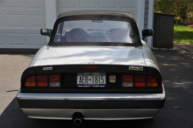 1986 Alfa Romeo Spider Veloce/Quadrifoglio Edition - photo 4