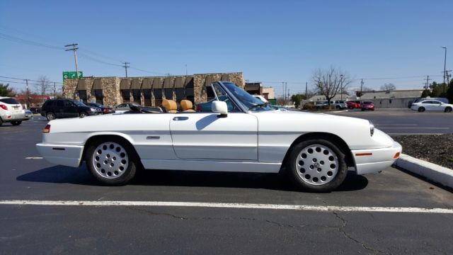 1991 Alfa Romeo Spider Convertible - photo 4