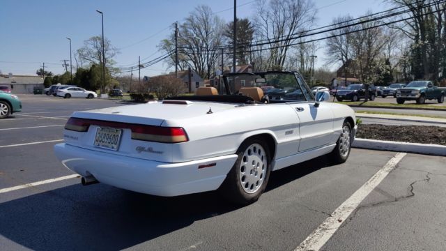 1991 Alfa Romeo Spider Convertible - photo 5