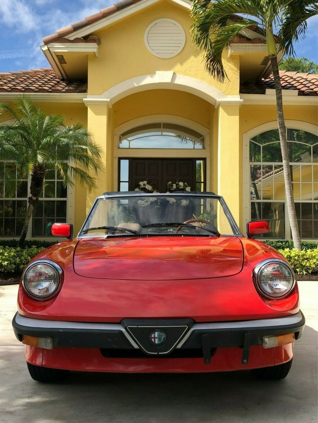 1983 Alfa Romeo Spider Spider Veloce - photo 2