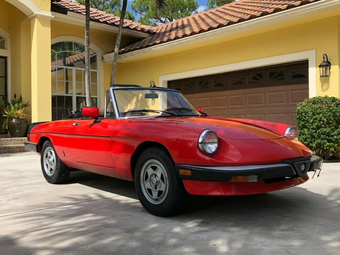 1983 Alfa Romeo Spider Spider Veloce - photo 4