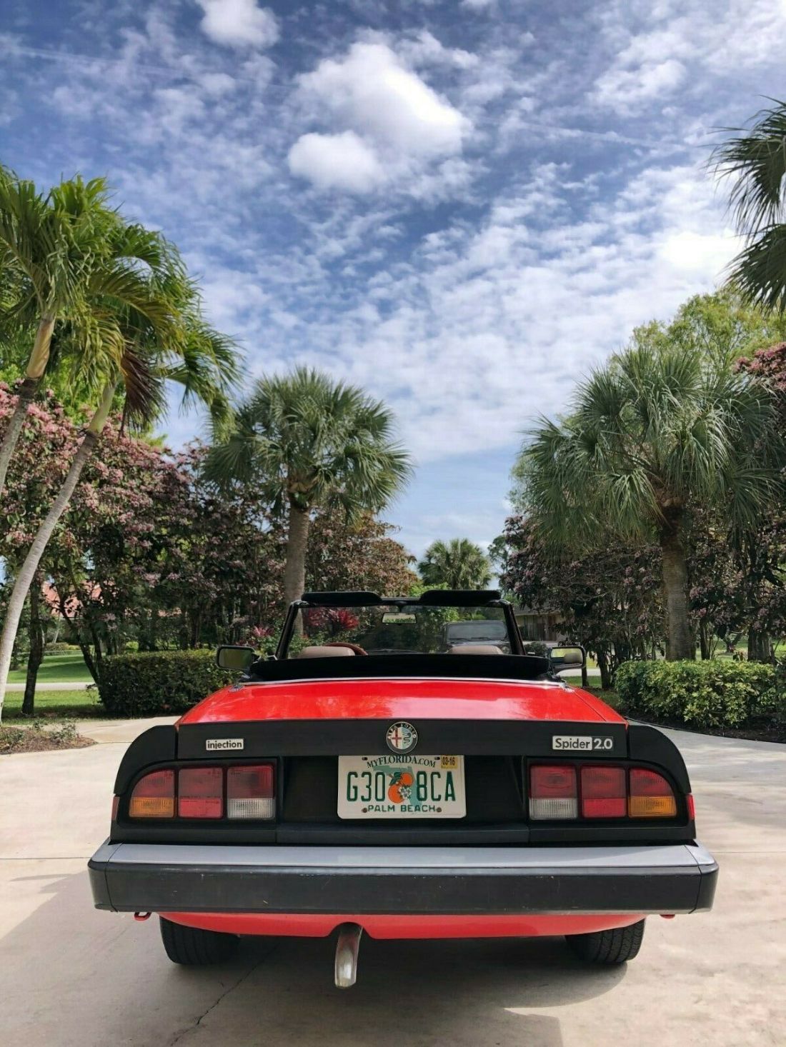 1983 Alfa Romeo Spider Spider Veloce - photo 5