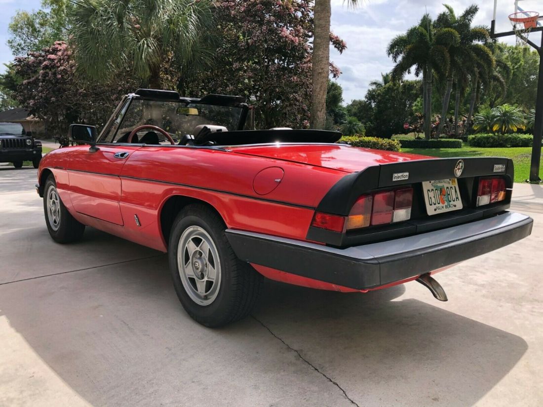 1983 Alfa Romeo Spider Spider Veloce - photo 6