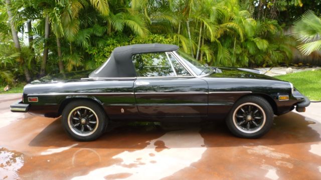 1977 Alfa Romeo Spider Convertible - photo 4