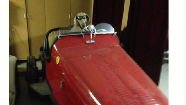 1932 Alfa Romeo 8C Monza Base convertible roadster - photo 5