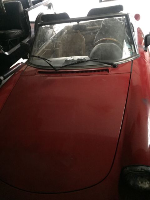 1987 Alfa Romeo Spider SPG - photo 5