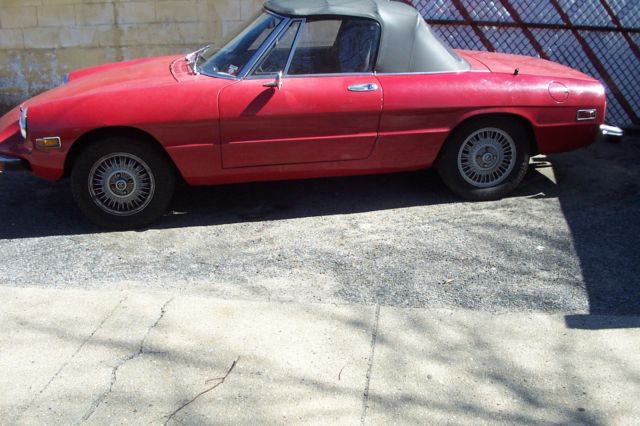 1974 Alfa Romeo Spider - photo 2