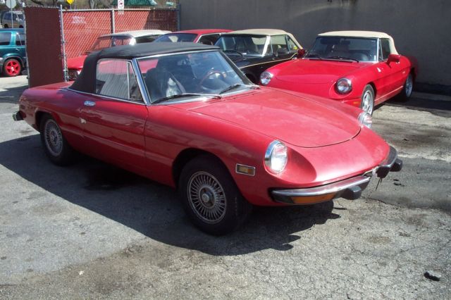1974 Alfa Romeo Spider - photo 3
