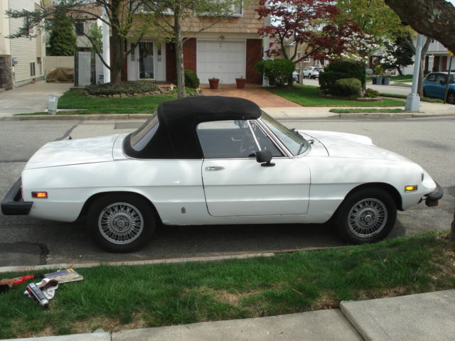 1978 Alfa Romeo Spider - photo 2