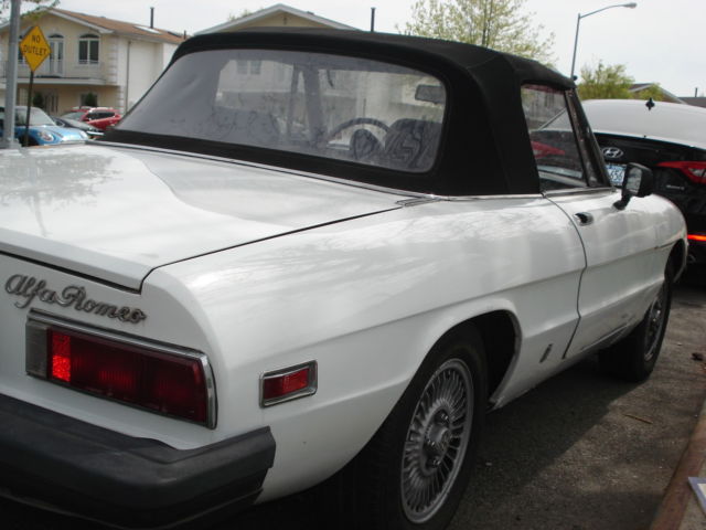 1978 Alfa Romeo Spider - photo 4