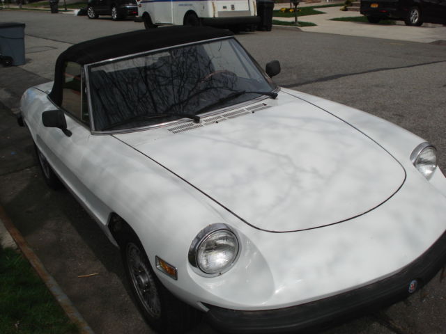 1978 Alfa Romeo Spider - photo 7