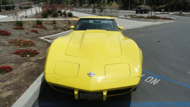 1978 Chevrolet Corvette Silver Anniversary Edition Coupe 2-Door - photo 2
