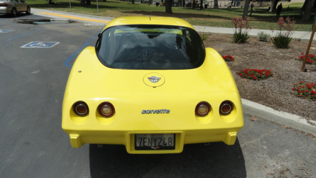 1978 Chevrolet Corvette Silver Anniversary Edition Coupe 2-Door - photo 5