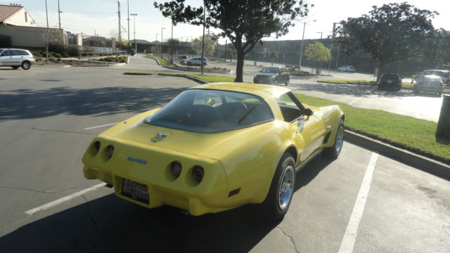 1978 Chevrolet Corvette Silver Anniversary Edition Coupe 2-Door - photo 9