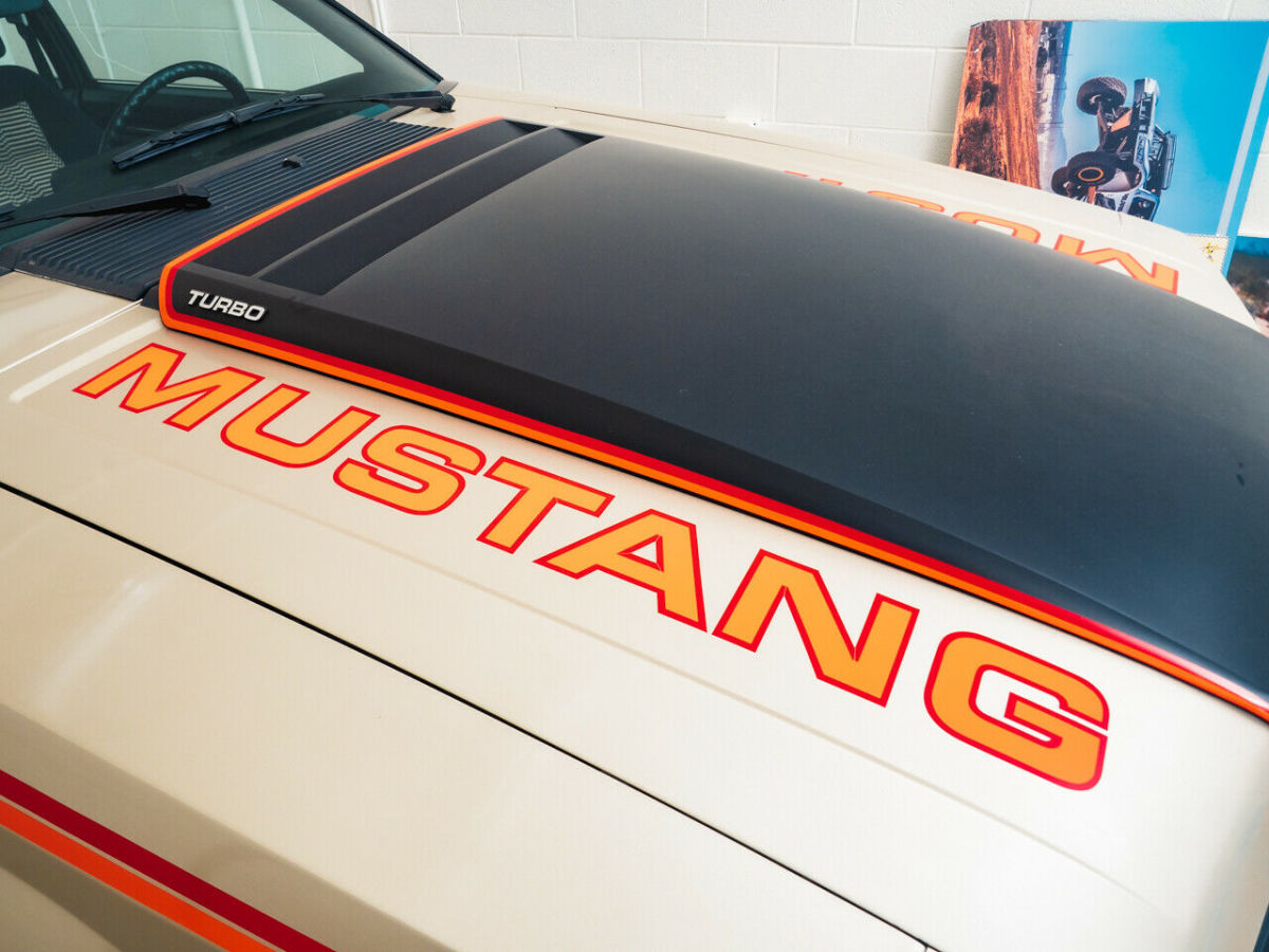 1979 Ford Mustang - photo 5