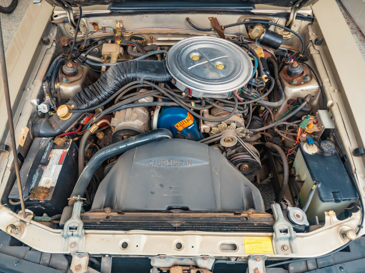 1979 Ford Mustang - photo 7
