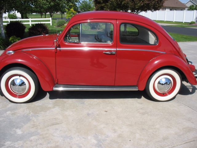 1961 Volkswagen Beetle - Classic - photo 4
