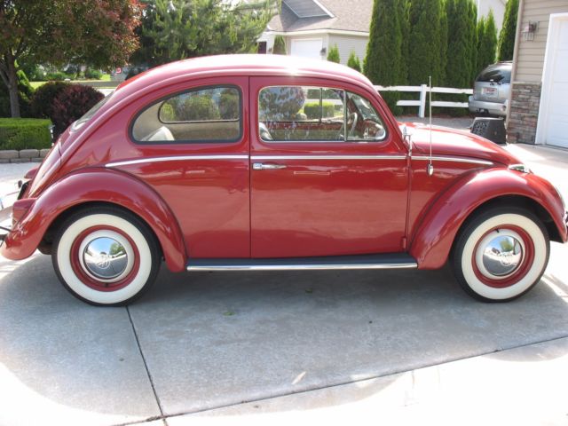 1961 Volkswagen Beetle - Classic - photo 8