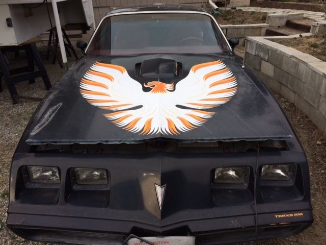 1979 Pontiac Trans Am orange - photo 2