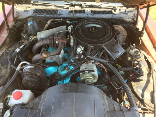 1980 Pontiac Trans Am - photo 10