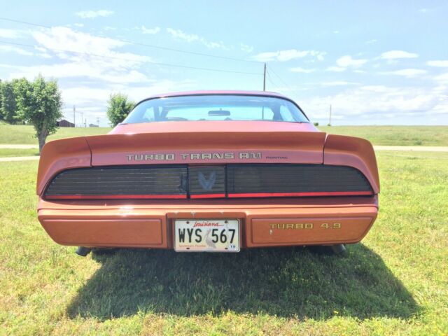 1980 Pontiac Trans Am - photo 4