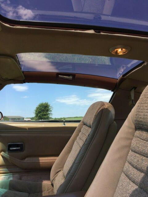 1980 Pontiac Trans Am - photo 9