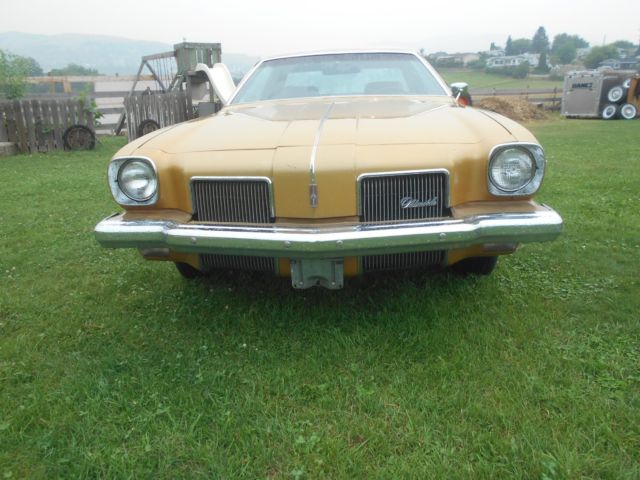 1973 Oldsmobile Cutlass - photo 5