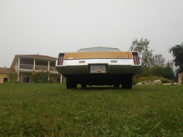 1973 Oldsmobile Cutlass - photo 6