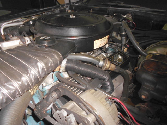 1978 Chevrolet Corvette 25th Anniversary Limited Edition Black/Silver - photo 7