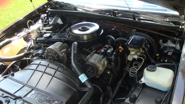 1986 Buick Regal Limited - photo 9