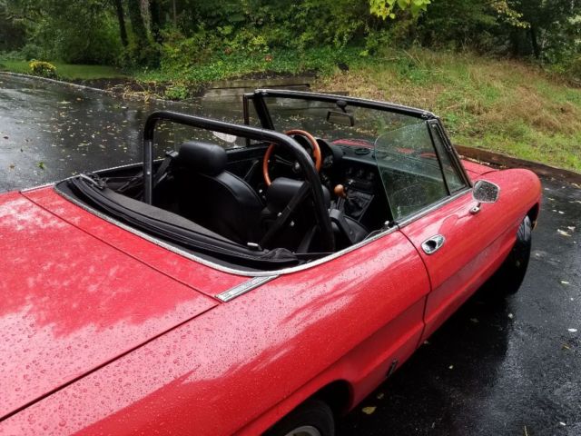 1985 Alfa Romeo Spider - photo 2