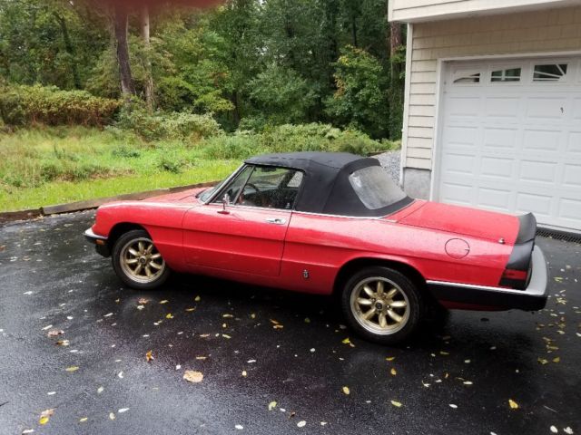 1985 Alfa Romeo Spider - photo 4