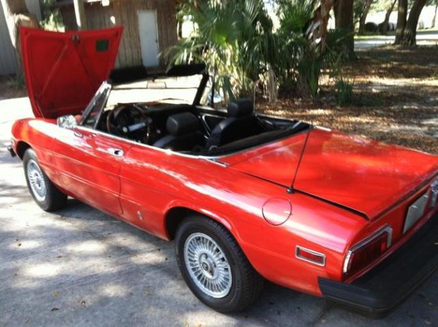 1975 Alfa Romeo Spider Voloce - photo 13