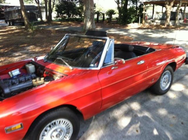 1975 Alfa Romeo Spider Voloce - photo 3