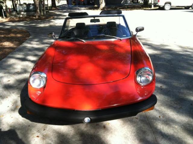 1975 Alfa Romeo Spider Voloce - photo 4