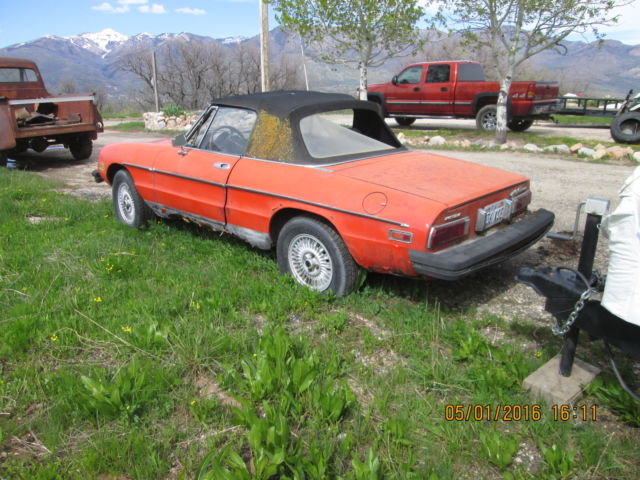 1976 Alfa Romeo Spider Enizione Spider - photo 4