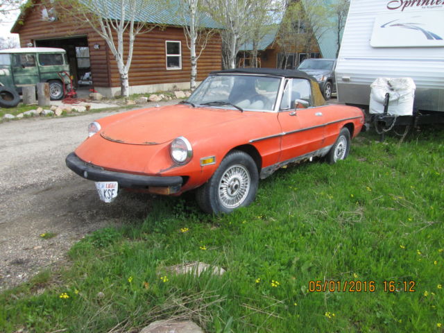 1976 Alfa Romeo Spider Enizione Spider - photo 5