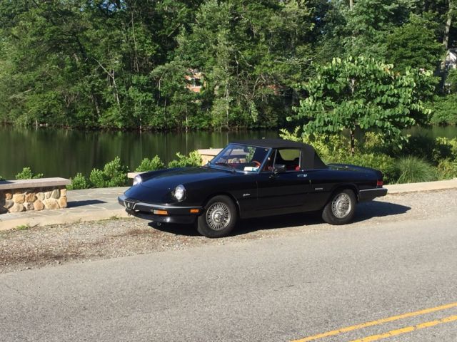 Alpha Romeo Spider Graduate Edition 1988 1988 Alfa Romeo Spider graduate