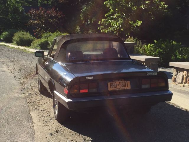 1988 Alfa Romeo Spider graduate - photo 2