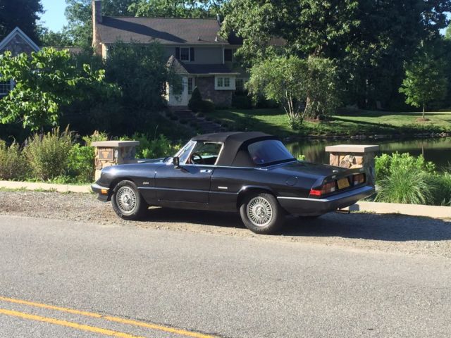 1988 Alfa Romeo Spider graduate - photo 4