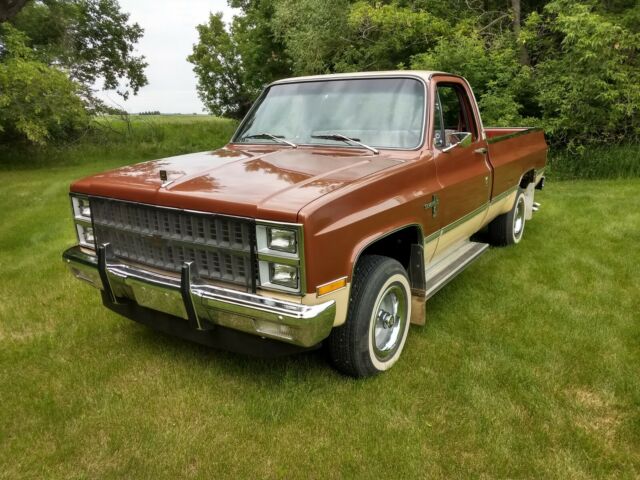 1982 Chevrolet C/K Pickup 1500 Silverado - photo 10