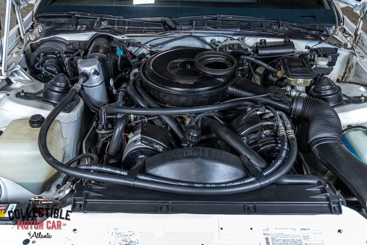 1984 Pontiac Firebird - photo 5