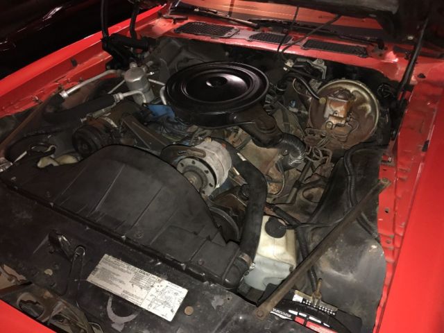 1979 Pontiac Firebird Coupe - photo 9