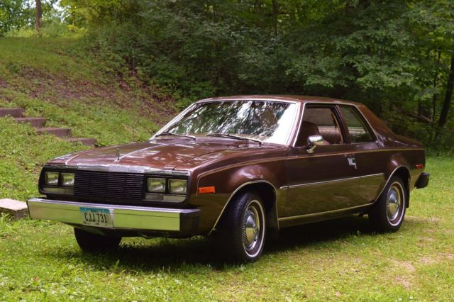 1979 AMC Other