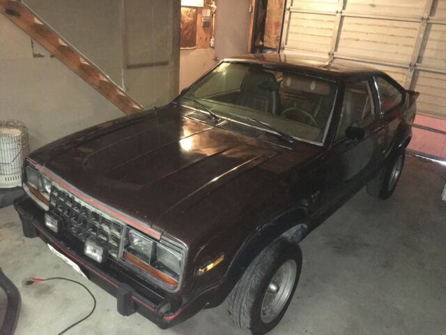 1981 AMC Other loaded - photo 2