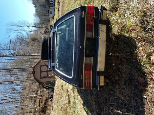 1984 AMC Other Sport Wagon - photo 5