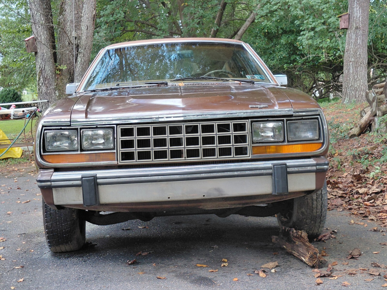 1985 AMC Other - photo 10
