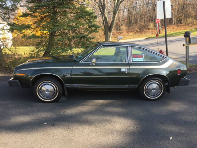 1981 AMC Other