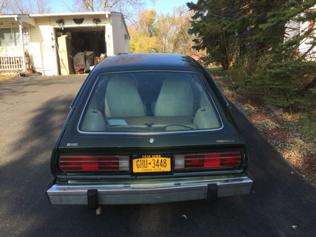 1981 AMC Other - photo 10