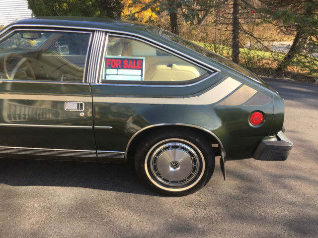 1981 AMC Other - photo 6